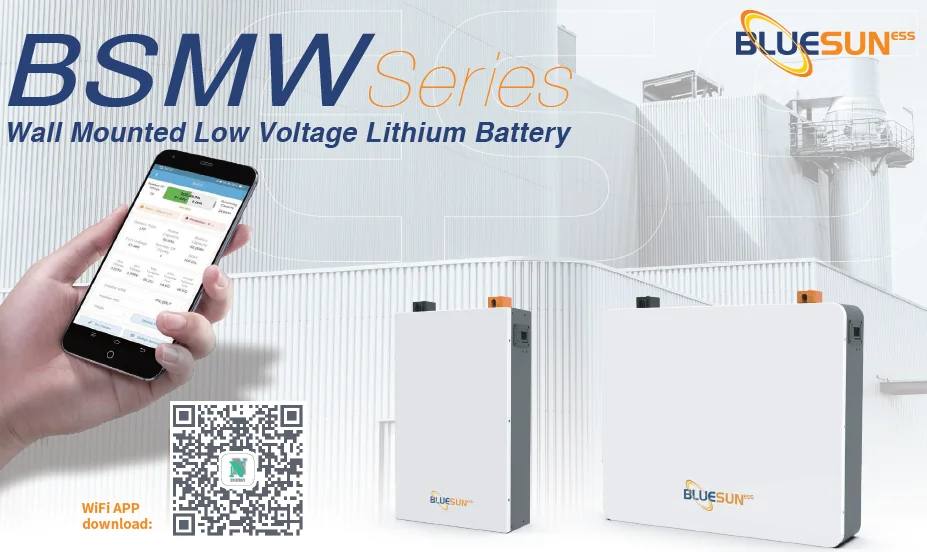 Batería de litio LiFePO4 51.2 V 200 Ah 10.24 kWh para sistemas solares